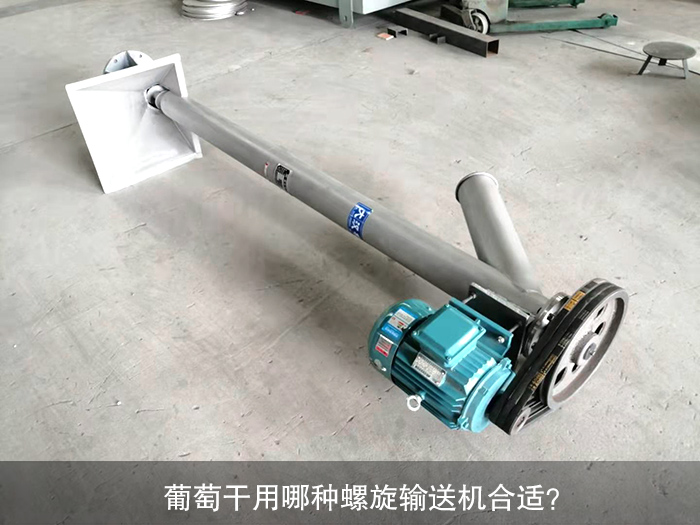 葡萄干螺旋輸送機(jī)